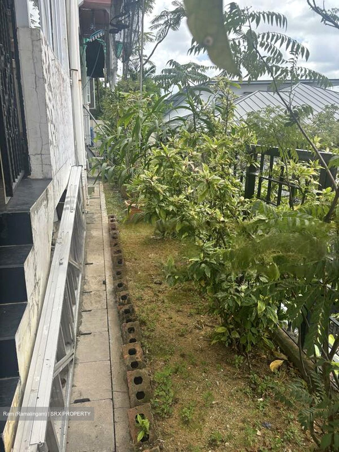 Sembawang Springs Estate (D27), Terrace #529824881